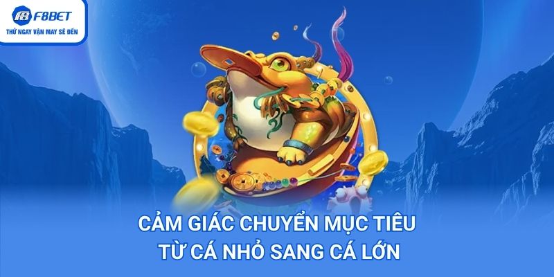 Chuyển mục tiêu sang cá lớn để kiếm vốn khủng hơn