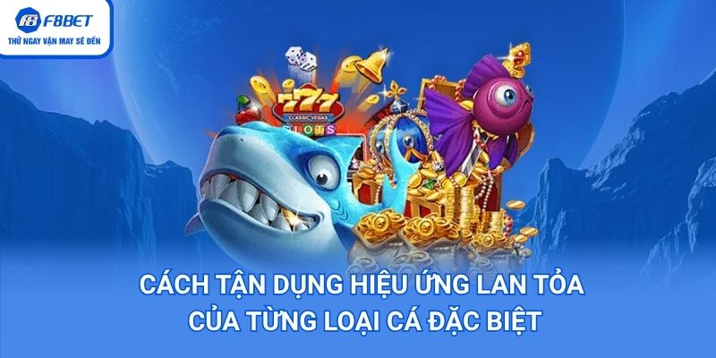 Tận dụng hiệu ứng lan toả để săn cá lớn
